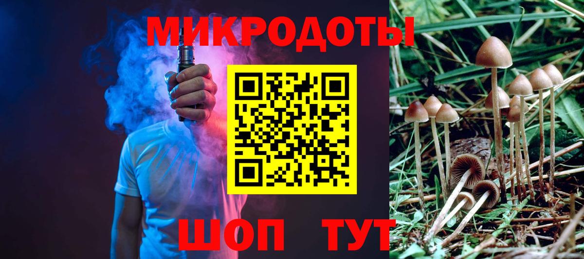 Псилоцибиновые грибы Cubensis Шуя